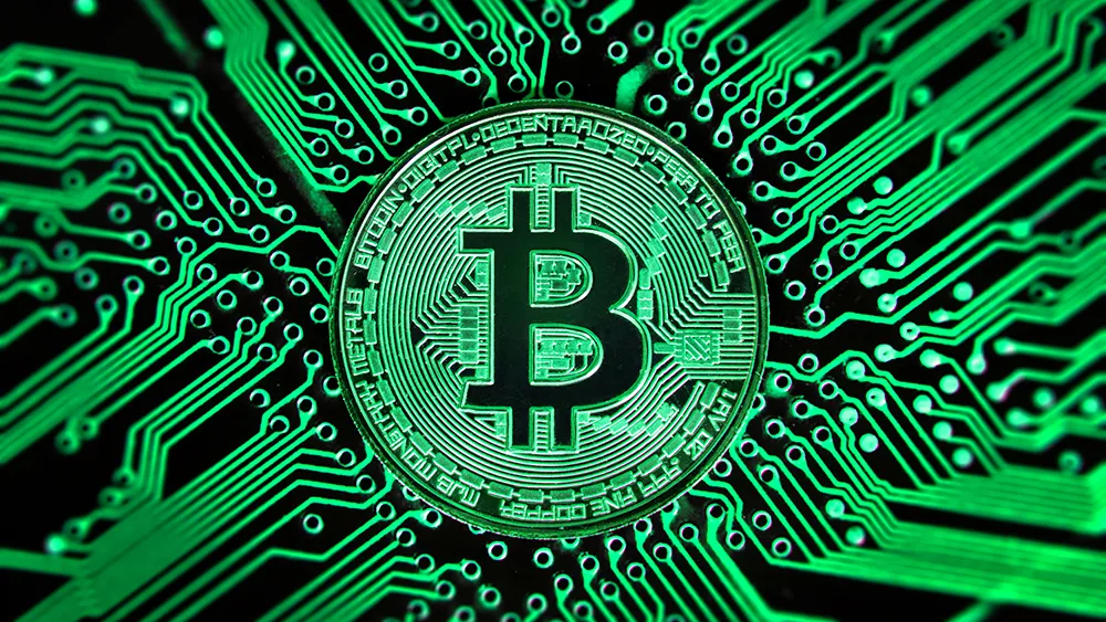 Crypto Comeback or Crash? What Businesses Should Know Now